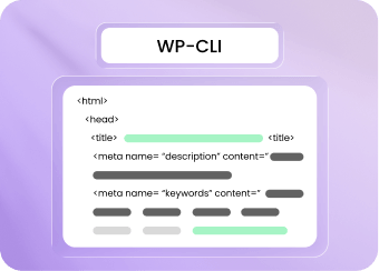 WP-CLI Supported WordPress Environment